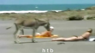 Blondínky milujú krémový koláč! video (Helly Mae Hellfire) - 2022-02-11 14:36:28